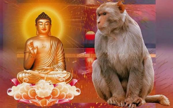 1968年几月猴命苦-68年猴男晚年的悲惨结局 1968年几月猴命苦-68年猴男晚年的悲惨结局