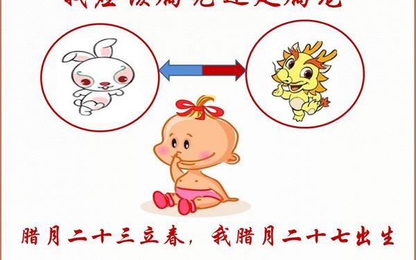 87年兔和88年龙是大吉 87年兔和88年龙是大吉