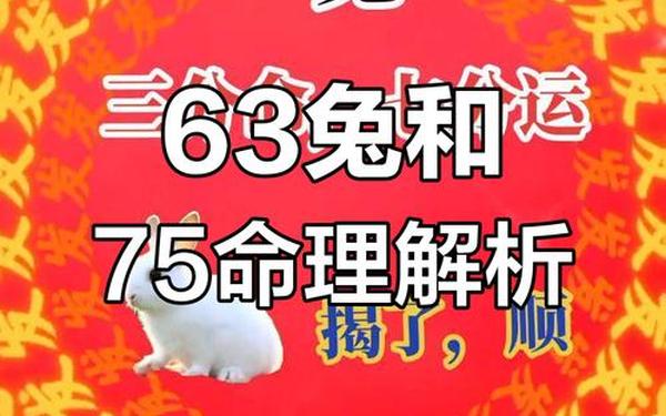 1963年的兔是什么兔什么命 1963年的兔是什么兔什么命