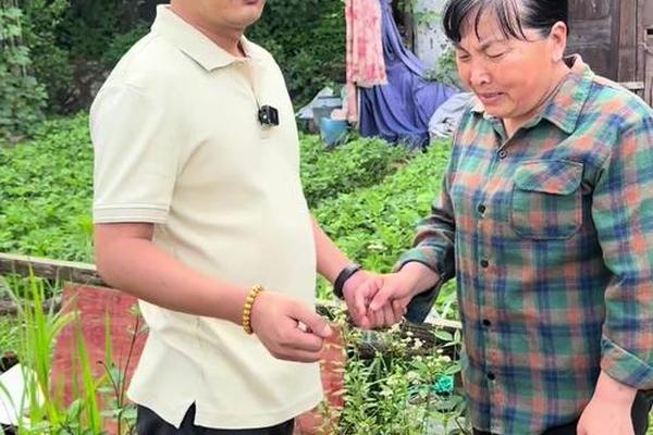 孝善文化汇演创意节目有哪些 百善孝为先情景剧 孝善文化汇演创意节目有哪些 百善孝为先情景剧
