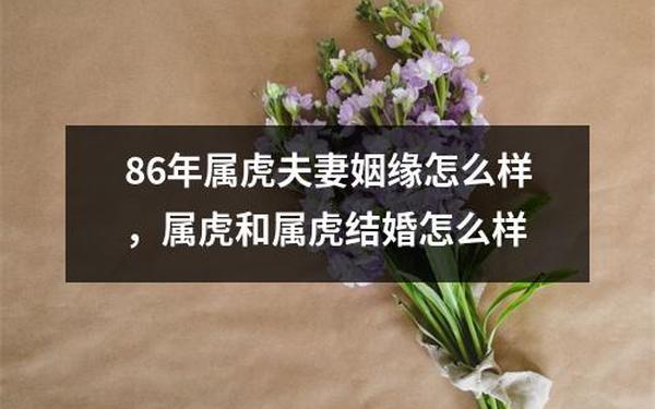 1986年属虎女跟什么属相配（86女虎最终伴侣属相）