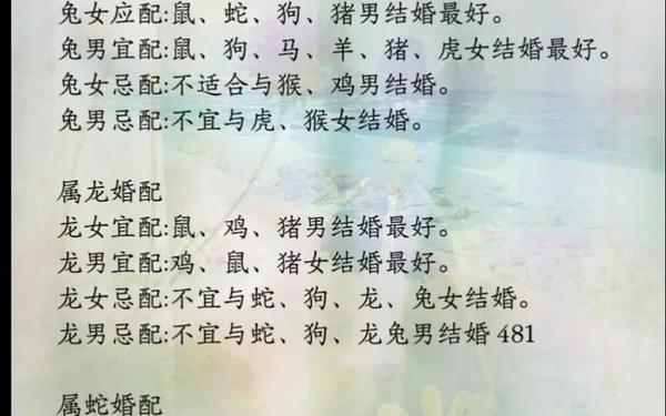 属兔蛇年结婚好不好 属兔蛇年结婚好不好
