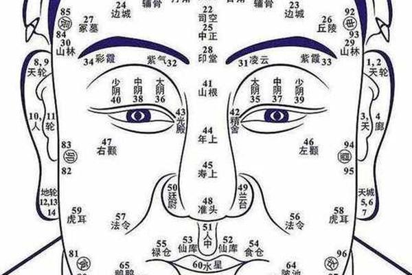 麻衣相男人面部痣相、男人面部黑痣图解 麻衣相男人面部痣相、男人面部黑痣图解