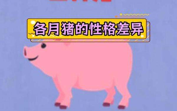 属猪的人哪年出生的_属猪的人哪月出生五行 属猪的人哪年出生的_属猪的人哪月出生五行