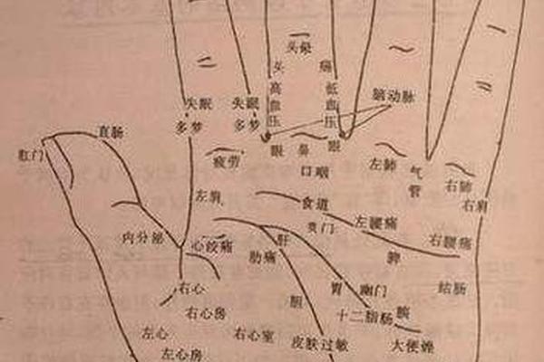 手痣相大全女、女人手臂有痣图解