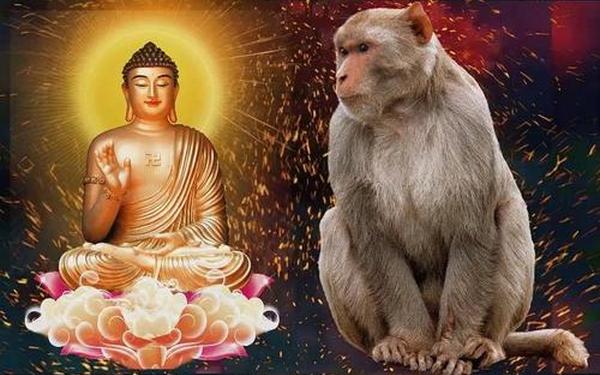 属猴人今日运势及运程如何_属猴的今日运势 属猴人今日运势及运程如何_属猴的今日运势