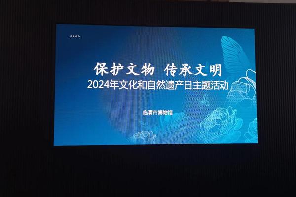 文化遗产(文化遗产保护传承与新时代青年使命研究)