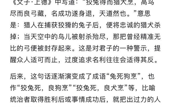 十兔九苦的说说 十兔九苦的说说