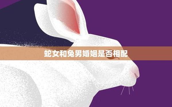 兔男和蛇女相配吗_兔男配蛇女 兔男和蛇女相配吗_兔男配蛇女
