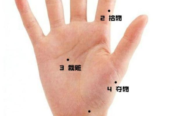 左手臂痣相解说 手掌痣相图解