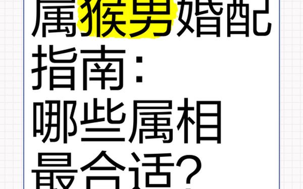 属猴和什么配最合适呢_猴的婚配对象 属猴和什么配最合适呢_猴的婚配对象