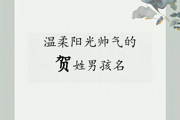 宝宝姓贺起名