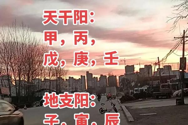 什么是八字纯阳