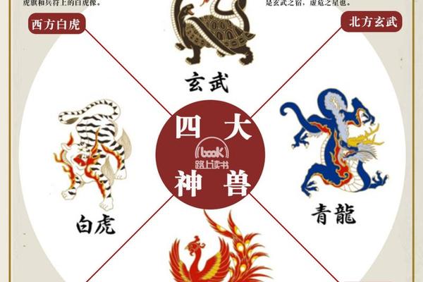 痣相青龙白虎_青龙痣位置示意图
