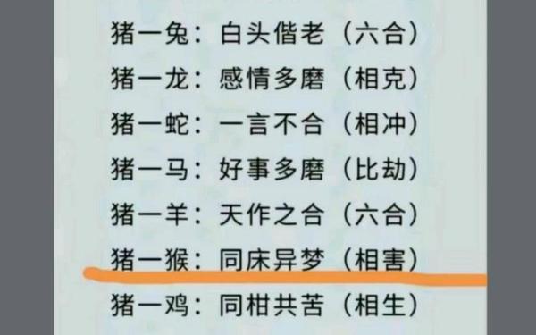 1999属兔和属龙合适吗 1999属兔和属龙合适吗