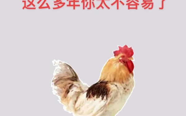属鸡的是什么年份的 属鸡的是什么年份的