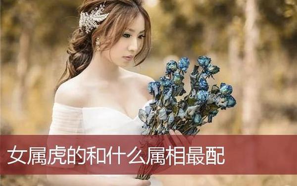 属虎女和属龙女合财吗_属虎女和属龙女可以一起合作