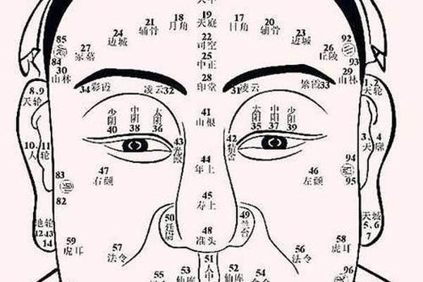 麻衣神相眼睛长痣—耳朵有痣的命运 图解
