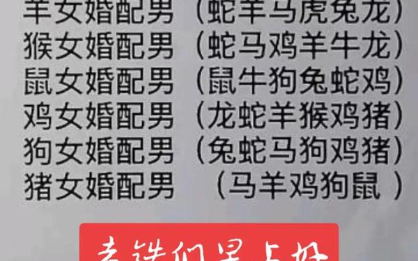 属猴与属兔相结合怎么样(属兔和猴配婚姻好不好) 属猴与属兔相结合怎么样(属兔和猴配婚姻好不好)
