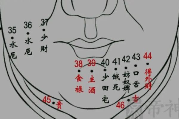 女生下巴的痣相、女人下巴痣相最准图