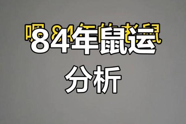 1984年属鼠男2023年的运势和事业