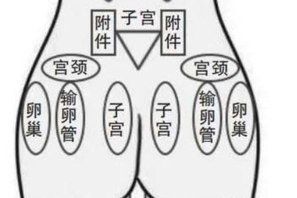 屁股上痣相、女人屁股上的痣相图解