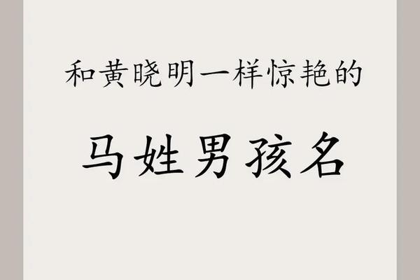 马宝宝起名字