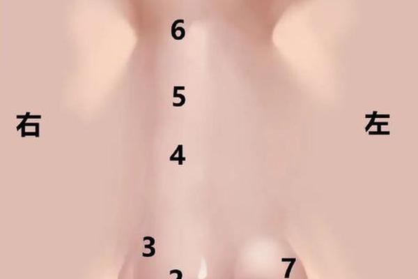 女子鼻子痣相大全(女鼻翼痣好不好)