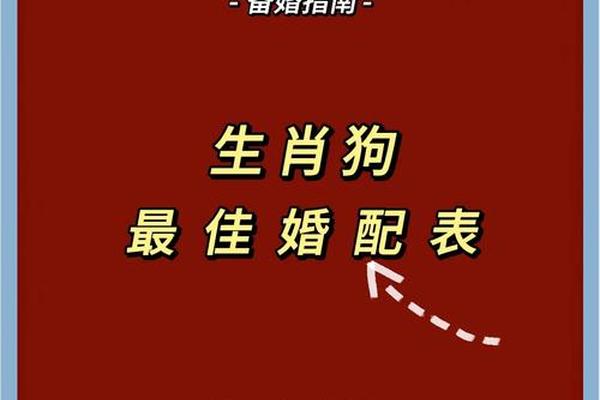 94年属狗男与96年属鼠女婚配