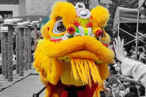 醒狮文化介绍视频英文-佛山醒狮文化的内涵