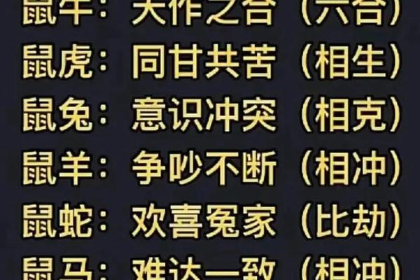 两个96年属鼠的人在一起合适吗