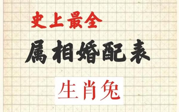 属兔的和属什么的结婚怎么样-属兔人和哪个属相结婚最好 属兔的和属什么的结婚怎么样-属兔人和哪个属相结婚最好