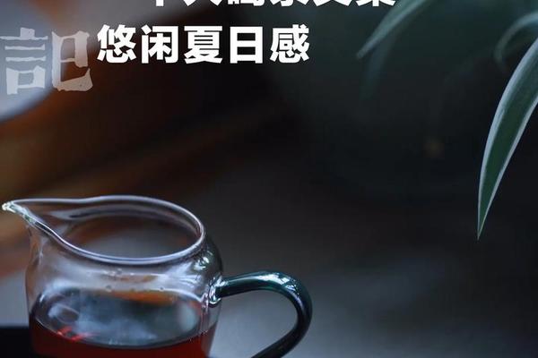 关于茶文化的文案—关于茶文化的经典句子
