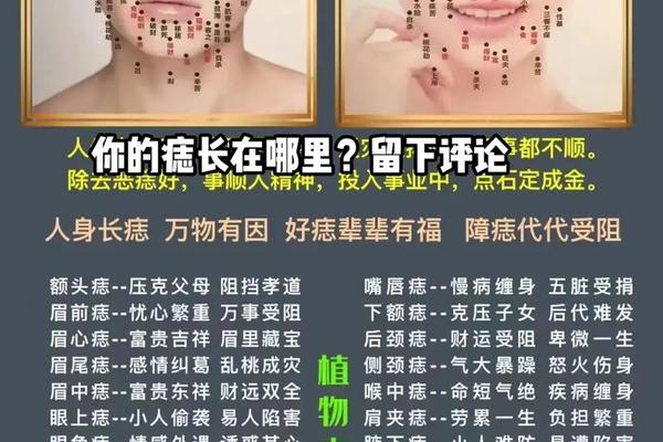 人面部痣相解析图女人_女人脸部黑痣图解 人面部痣相解析图女人_女人脸部黑痣图解