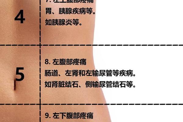 肚脐右边长痣痣相解析;肚脐周围痣代表什么