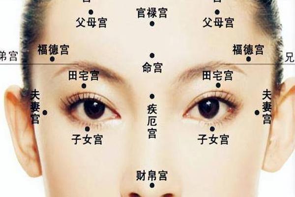 面相痣相排图详解大全(面相十二宫排图详解)