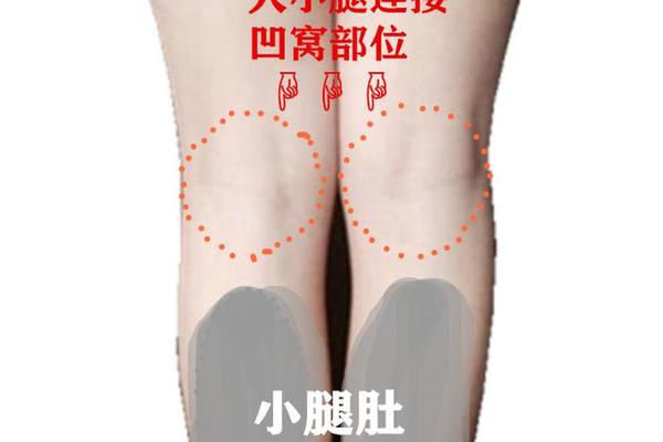 右小腿肚子痣相 小腿右侧有痣什么意思