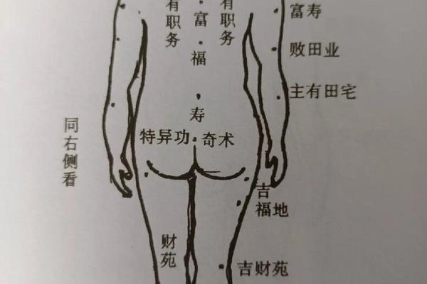 体相大腿内侧有痣—体痣相图解大全 体相大腿内侧有痣—体痣相图解大全