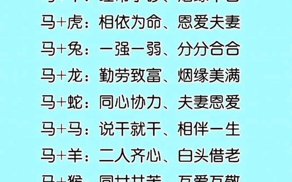 兔先生和马太太是最佳配偶吗(男兔女马最佳配对) 兔先生和马太太是最佳配偶吗(男兔女马最佳配对)