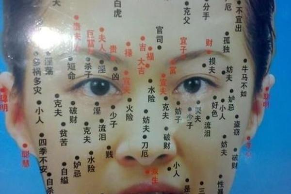看痣相算命图解女、鼻子痣相图解