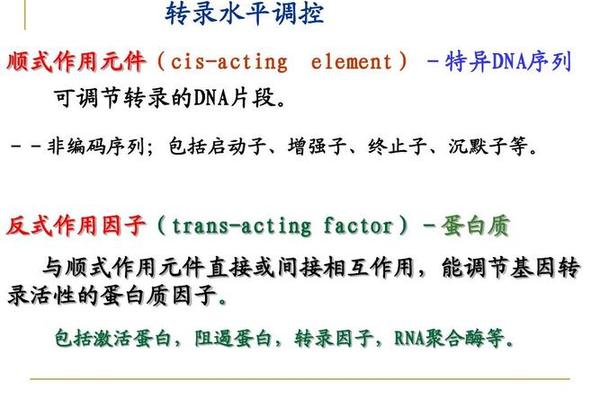 文化基因激活工程_激活基因表达的方法 文化基因激活工程_激活基因表达的方法