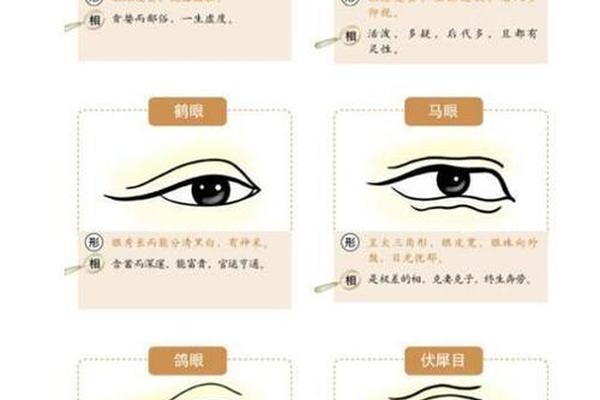 看麻衣相眼睛皮有痣-麻衣神相痣图解男
