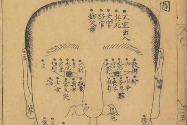 麻衣神相腿后有痣图片、麻衣神相年龄图解