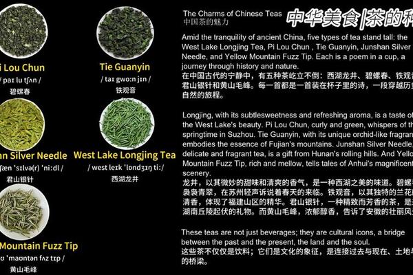 中国茶文化(中国茶文化英语)