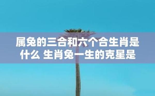 生肖兔和兔合得来吗 生肖兔和兔合得来吗