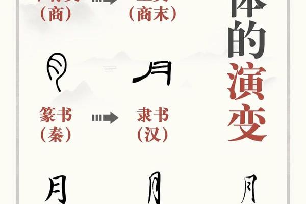 汉字文化有几点—体现汉字特点的资料