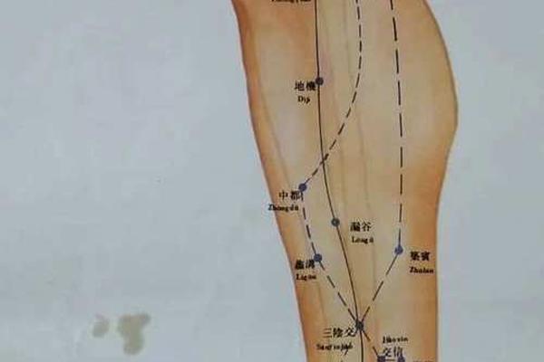 小腿内侧痣相,左小腿内侧有痣