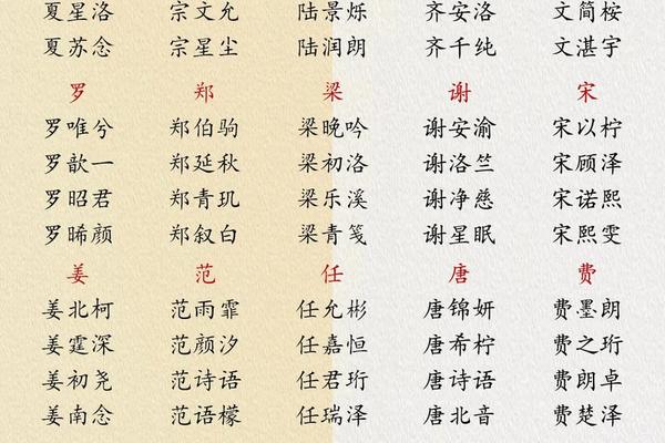 平舆 姓名大全查询