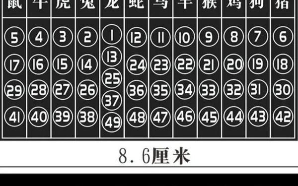 2025十二生肖49码表 2025十二生肖49码表