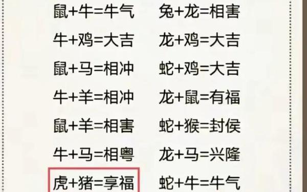 属兔的跟属虎的相配吗 属兔的跟属虎的相配吗